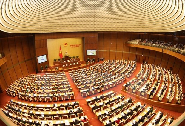 Legislators discuss revisions of law on overseas representative missions hinh anh 1