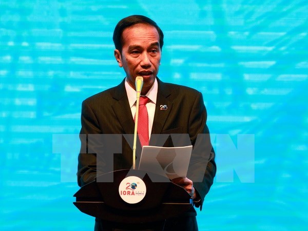 Indonesian President to attend APEC 2017 Economic Leaders’ Meeting hinh anh 1