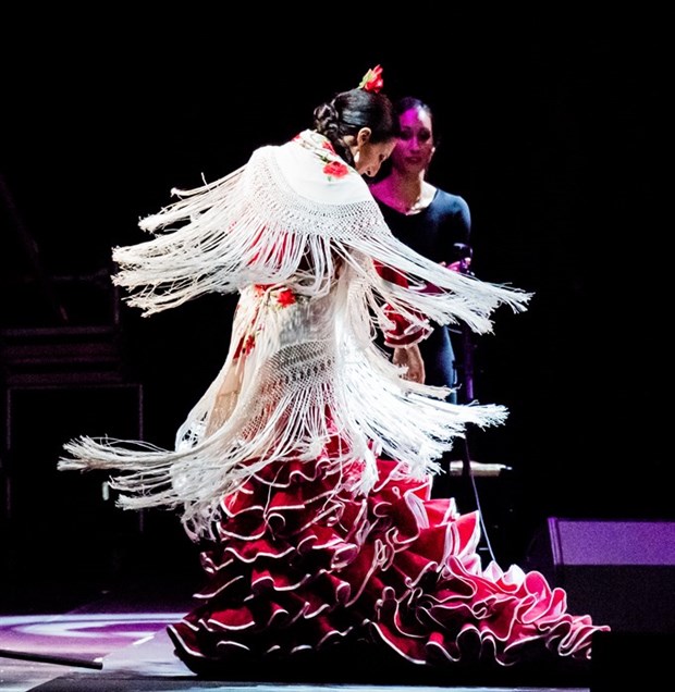 Spanish dancer to dazzle local audiences hinh anh 1