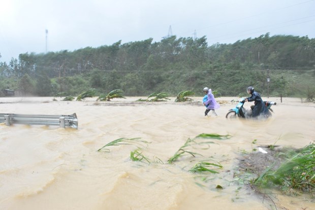 Typhoon Damrey leaves 63 dead and missing hinh anh 1