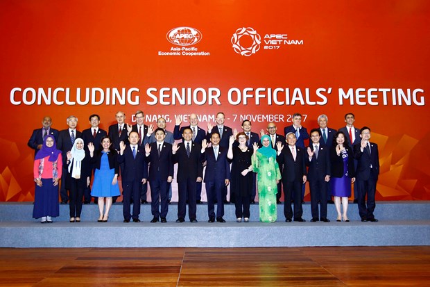 APEC 2017: Asia-Pacific needs to boost cooperation in realising Bogor Goals hinh anh 1