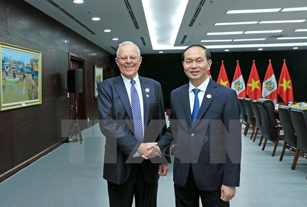 APEC 2017: Vietnam wants to expand cooperation with Peru hinh anh 1