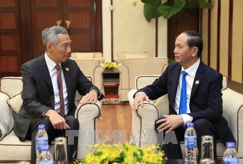 President promises optimal conditions for Singaporean investors hinh anh 1