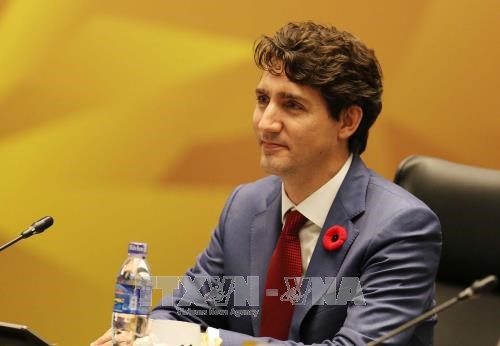 APEC 2017: Canadian PM reaffirms commitment to open trade hinh anh 1