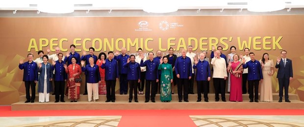 APEC 2017: Malaysian media appraises Vietnam’s organisation hinh anh 1