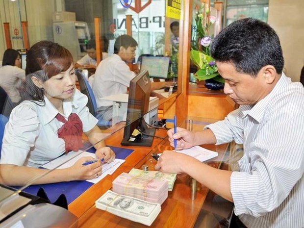 Exporters worry as end of foreign loans nears hinh anh 1