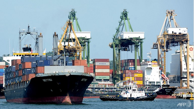 Singapore’s non oil exports beat expectations hinh anh 1
