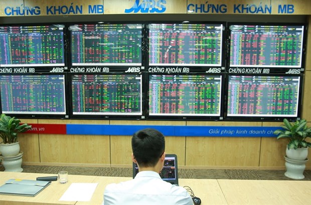 VN-Index remains steady on uptrend hinh anh 1