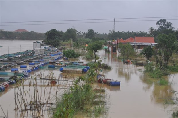 Hue hit by fifth flood in just a month hinh anh 1