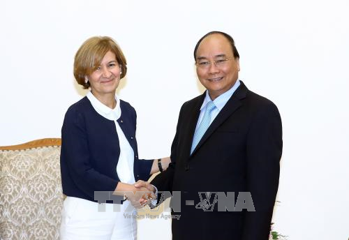 PM receives Portuguese Secretary of State of Foreign Affairs hinh anh 1