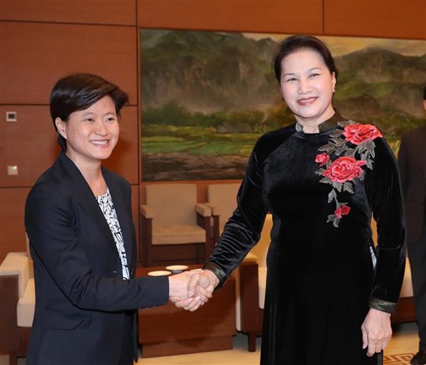 NA Chairwoman, ambassador discuss upcoming trip to Singapore hinh anh 1