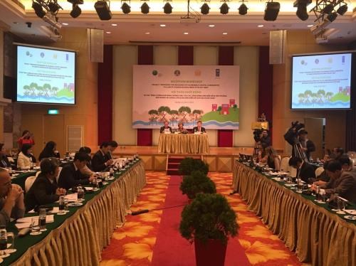 Project to improve resilience to climate change in coastal areas hinh anh 1