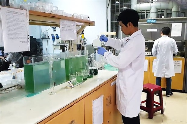 HCM City students find way to grow spirulina at home hinh anh 1