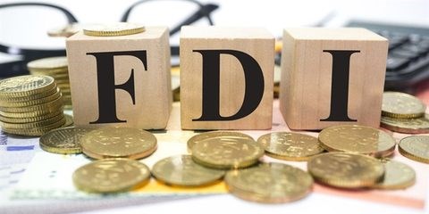 FDI reaches 33 billion USD at November’s end hinh anh 1
