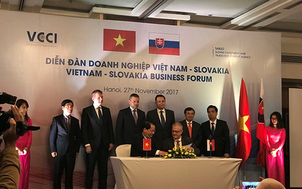 Vietnam, Slovakia promote economic cooperation hinh anh 1