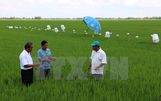 Agricultural products seek to gain footholds in foreign markets hinh anh 3