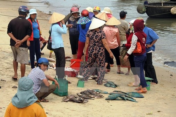 PM directs stockpiled seafood settlement in marine incident-hit provinces hinh anh 1