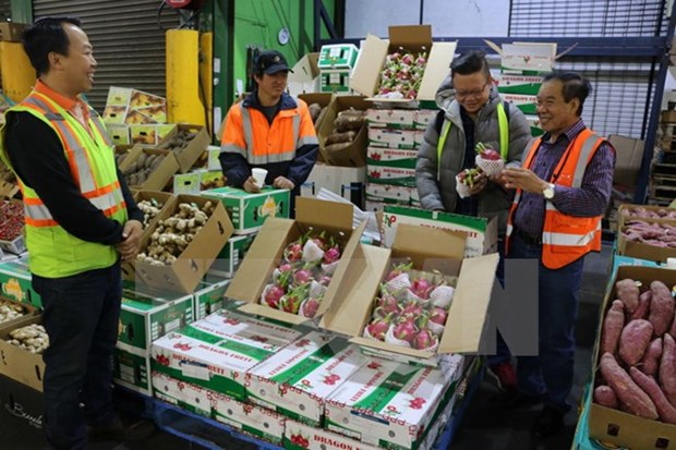 Fruits, vegetables export reach 3.16 billion USD in 11 months hinh anh 1