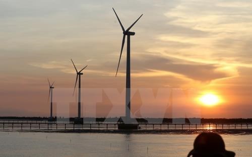 Foreign investors interested in Vietnam’s wind power projects hinh anh 1
