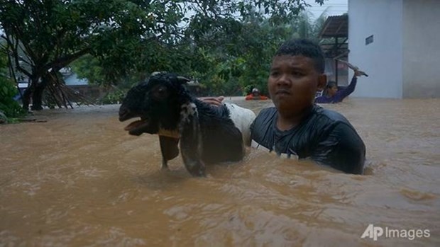 Cyclone death toll in Indonesia increases to 41 hinh anh 1