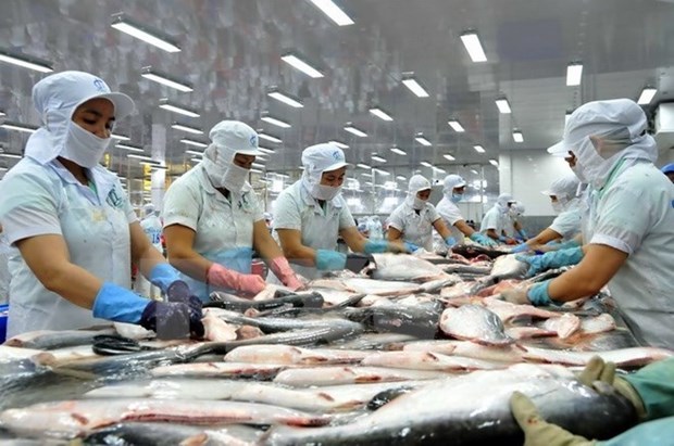 VASEP: Tra fish exports to Spain continue falling hinh anh 1