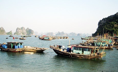 Quang Ninh province loses marine resources hinh anh 1