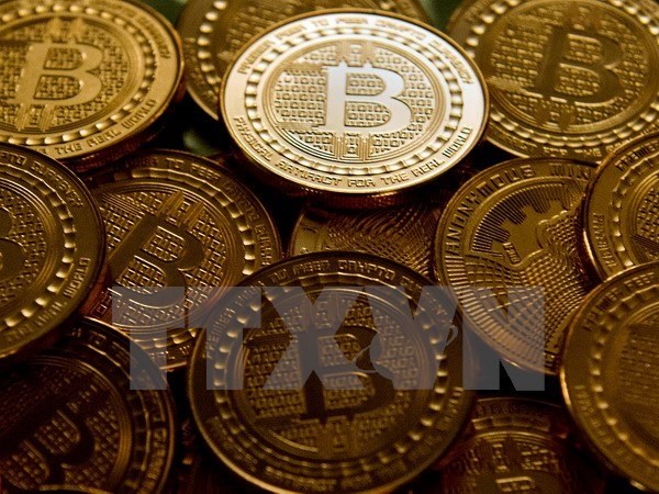 Experts warn Vietnamese investors of bitcoin bubble hinh anh 1