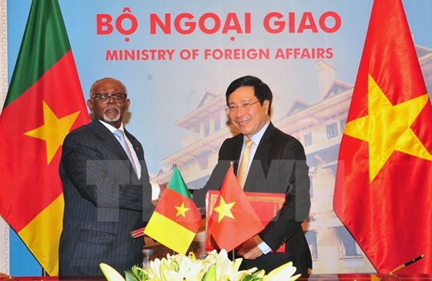 Cameroon keen on broadening affiliation with Vietnam hinh anh 1