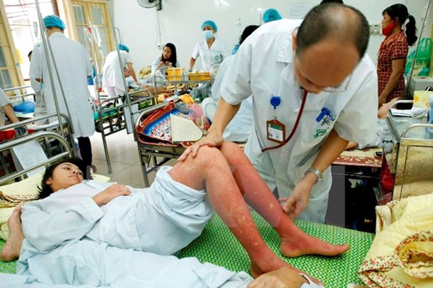 Dengue fever treatment remains weak: official hinh anh 1