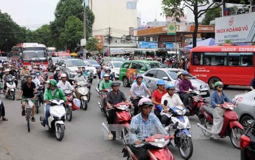 Traffic hotlines set up during New Year holiday hinh anh 1