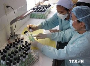 HCM City plans additional testing for TB hinh anh 1