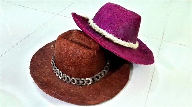 Coconuts make stylish hats hinh anh 1