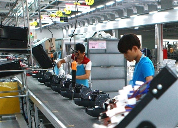 Government clarifies preferential tax lists for goods imported from RoK hinh anh 1