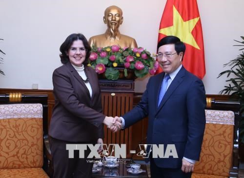 Deputy PM hosts new Cuban ambassador hinh anh 1