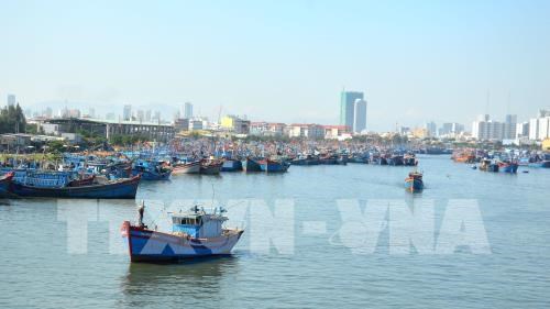 Thanh Hoa works to combat IUU fishing hinh anh 1