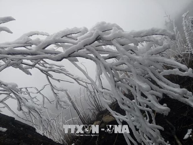 Lao Cai: 30,000 students stay at home due to frost hinh anh 1
