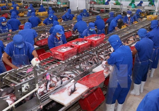 Aquatic export expected to hit 9 billion USD in 2018 hinh anh 1