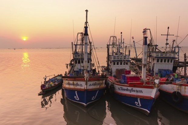Thai government urgently tackling IUU fishing hinh anh 1
