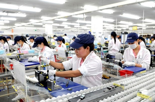 Vietnam’s shadow economy sparks debate hinh anh 1