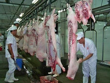 Masan starts meat processing complex in Ha Nam hinh anh 1