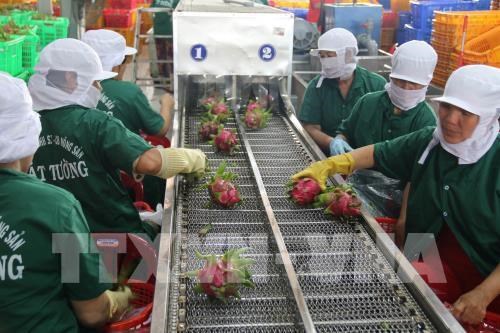 Tien Giang earns 220 million USD in January’s exports hinh anh 1