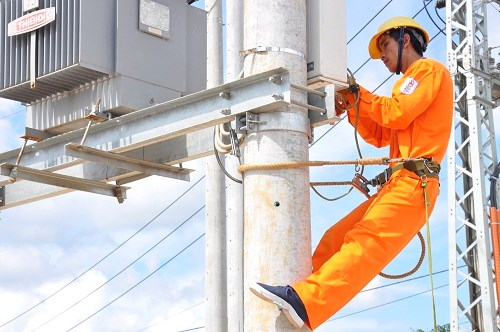 Dak Lak: 2,000 families get access to electricity before Tet hinh anh 1