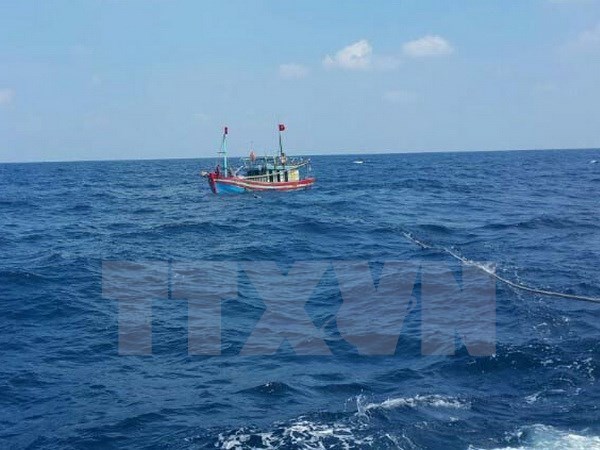 State budget provides fishing vessel insurance premium support hinh anh 1