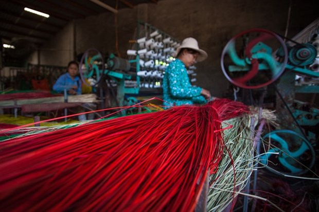 New machines revive mat weaving village hinh anh 2