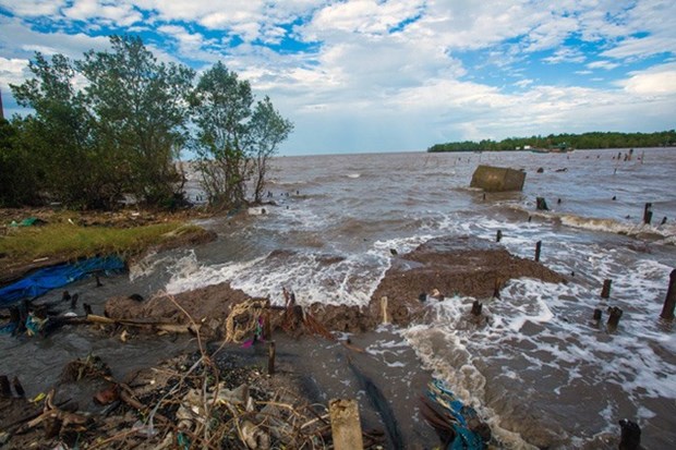 Sediment loss in Mekong River killing southern delta hinh anh 1
