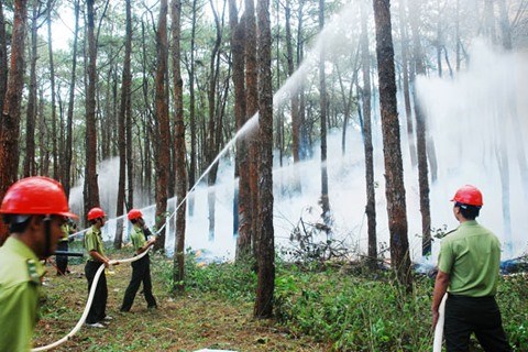 Dak Nong keeps wary eye on forests to prevent dry season fires hinh anh 1