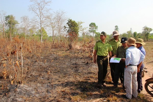 Binh Thuan faces high risk of forest fires hinh anh 1