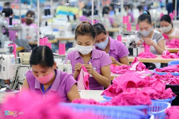 8,000 firms owe social insurance fees hinh anh 1