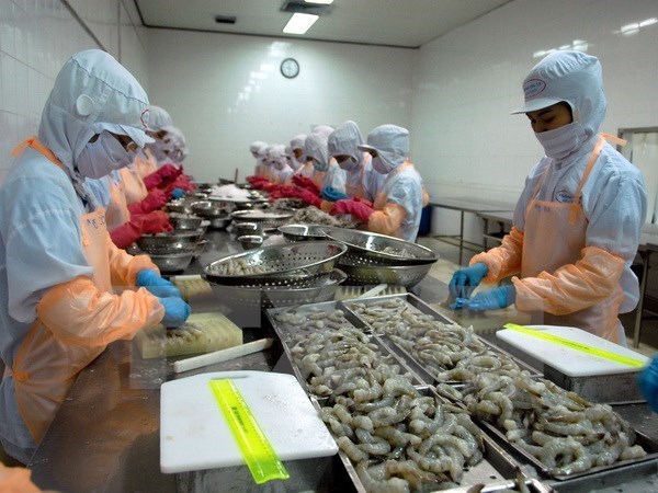 Binh Dinh works on hi-tech shrimp farming to raise export value hinh anh 1