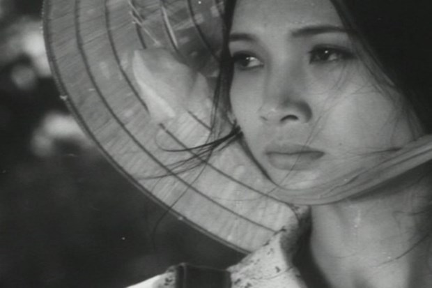 Vietnamese classic films to be screened for free hinh anh 1